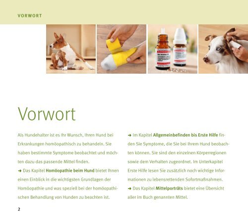 Homöopathie für Hunde