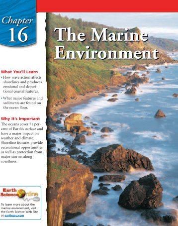 Chapter 16: The Marine Environment