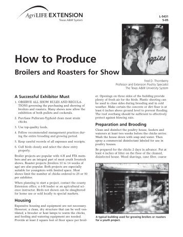 How to Produce Broilers and Roasters for Show - Texas 4-H and ...