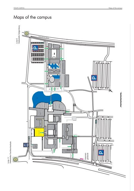 Study Guide - Hochschule Regensburg