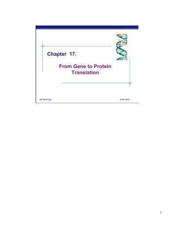 Chapter 17. From Gene to Protein Translation - Explore Biology