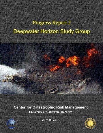 Progress Report 2 Deepwater Horizon Study Group - Center for ...