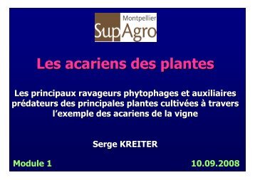 PrÃ©sentation des acariens Les acariens phytophages Les ...