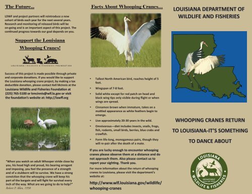 Whooping Crane Brochure - Louisiana Department of Wildlife and ...