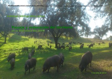 CatÃÄlogo bibliogrÃÄfico sobre Paisaje y odenaciÃÄ£n del Territorio