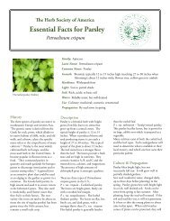 HSA - Fact Sheet 1- parsley - The Herb Society of America