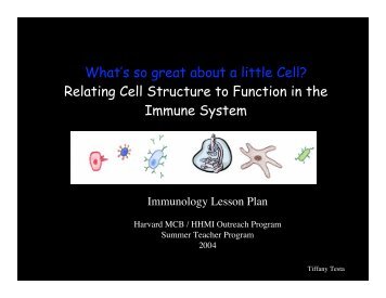 What's so great about a little Cell? - Life Sciences Outreach Program