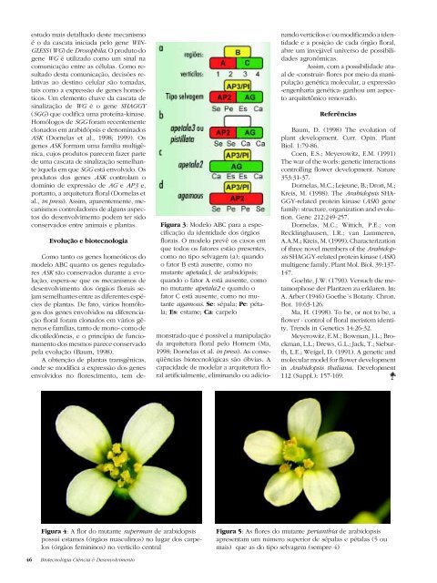 Projeto Genoma do CÃ¢ncer - Biotecnologia