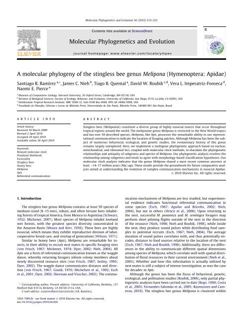 A molecular phylogeny of the stingless bee genus Melipona ...