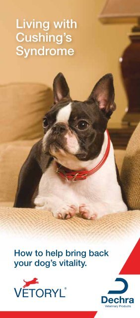 Vetoryl for cushing's disease in cheap dogs