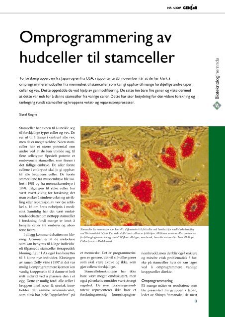 Last ned GENialt 4/2007 (pdf). - Bioteknologinemnda