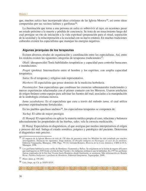 Salud indÃ­gena y derechos humanos. Manual de contenidos - IIDH