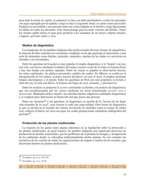 Salud indÃ­gena y derechos humanos. Manual de contenidos - IIDH