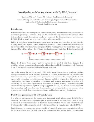 Investigating cellular regulation with PySCeS/Kraken