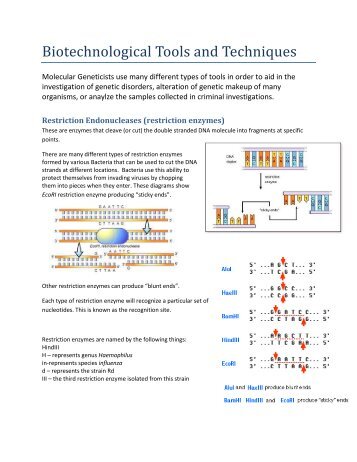 Biotechnological Tools and Techniques