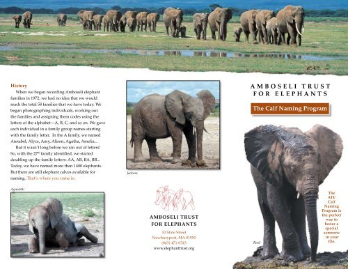 AMBOSELI TRUST FOR ELEPHANTS The Calf Naming Program