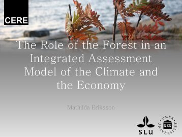 The Role of the Forest in an Integrated Assessment Model of the ...