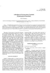 A Revision of Perissocentrus Crawford - Systematic Entomology ...