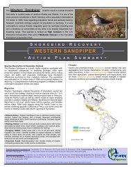 Action Plan Summary - Western Hemisphere Shorebird Reserve ...