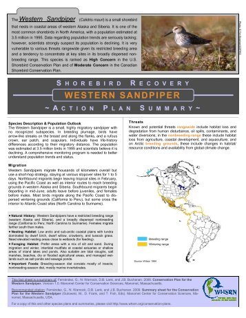 Action Plan Summary - Western Hemisphere Shorebird Reserve ...