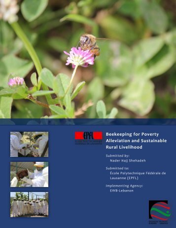Beekeeping for Poverty Alleviation and Sustainable Rural Livelihood