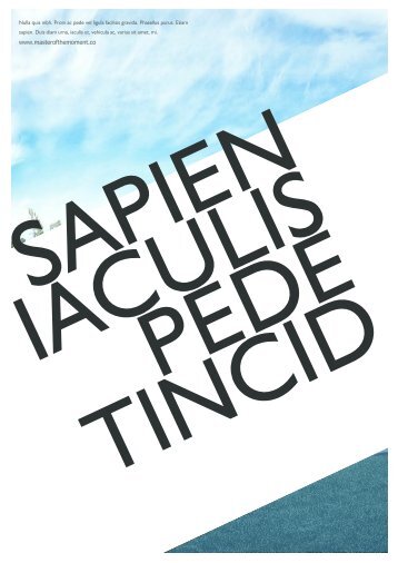 MUSTER / SAPIEN IACULIS PEDE TINCID