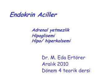 Endokrin Aciller.pdf