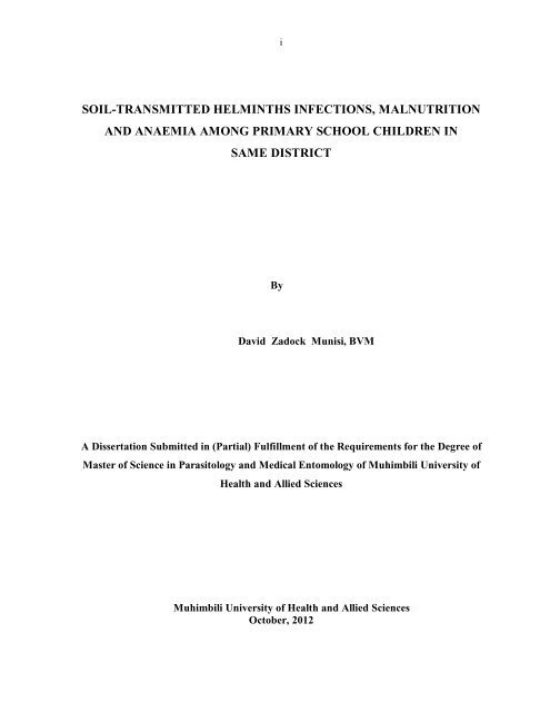 MUNISI DISSERTATION REPORT FINAL[1].pdf - muhas