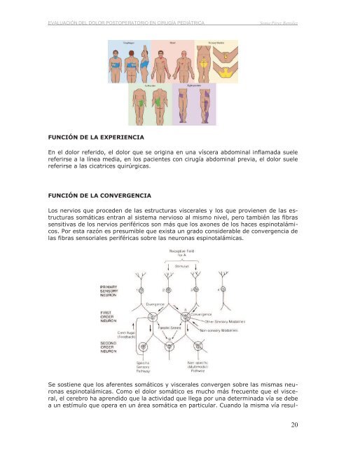 Evaluación del dolor postoperatorio en Cirugía Pediátrica