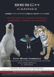 Mise en page 1 - Besch Cannes Auction
