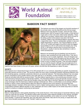 BABOON FACT SHEET - World Animal Foundation