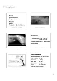 Cervix Vagina GraviditÃ¤t - Vet-roentgen.at