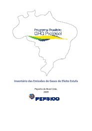 Pepsico 2009 - Programa Brasileiro GHG Protocol