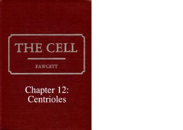 Chapter 12: Centrioles