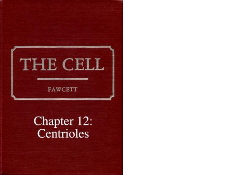 Chapter 12: Centrioles