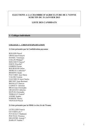 Listes des candidats CA 2013