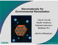 Nanomaterials for Environmental Remediation