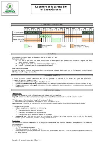 Fiche technique carotte :