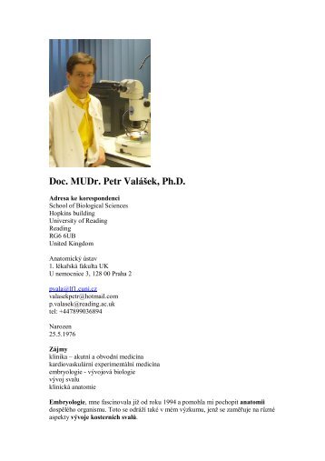 MUDr. Petr ValÃ¡Å¡ek, Ph.D. - AnatomickÃ½ Ãºstav 1.LF UK - Univerzita ...