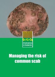 Managing the risk of common scab - Potato Council