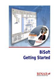 BiSoft Getting Started - Binar Elektronik