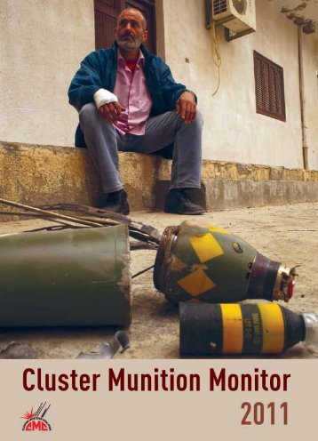 Download PDF - Landmine and Cluster Munition Monitor