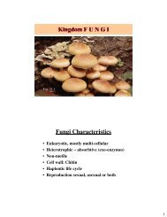 Kingdom F U N G I Fungi Characteristics