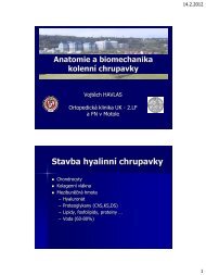 Anatomie a biomechanika kolenní chrupavky (PDF - 1.25 MB) - SSTA