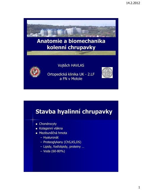 Anatomie a biomechanika kolenní chrupavky (PDF - 1.25 MB) - SSTA
