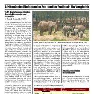 Afrikanische Elefanten im Zoo und im Freiland - Elefanten Schutz ...