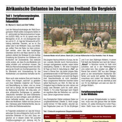 Afrikanische Elefanten im Zoo und im Freiland - Elefanten Schutz ...