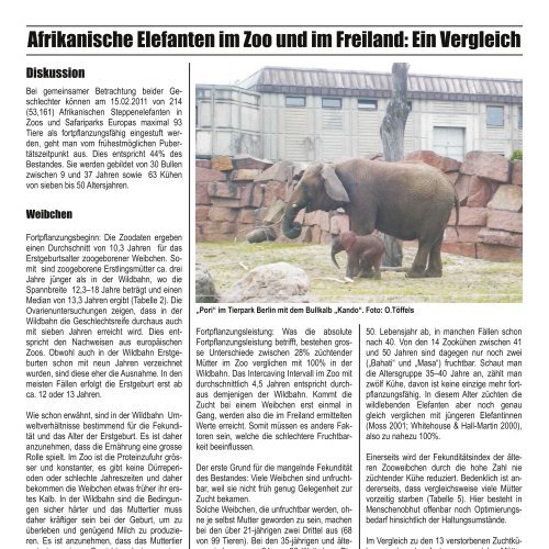 Afrikanische Elefanten im Zoo und im Freiland - Elefanten Schutz ...