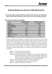 SPIN Protocol description