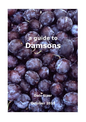 a-guide-to-damsons-october-2013